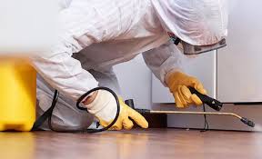 Best Termite Inspection and Treatment  in Fullerton, PA